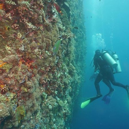 Sea World Club Beach Resort & Dive Center Maumere Esterno foto