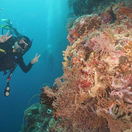 Sea World Club Beach Resort & Dive Center Maumere Esterno foto