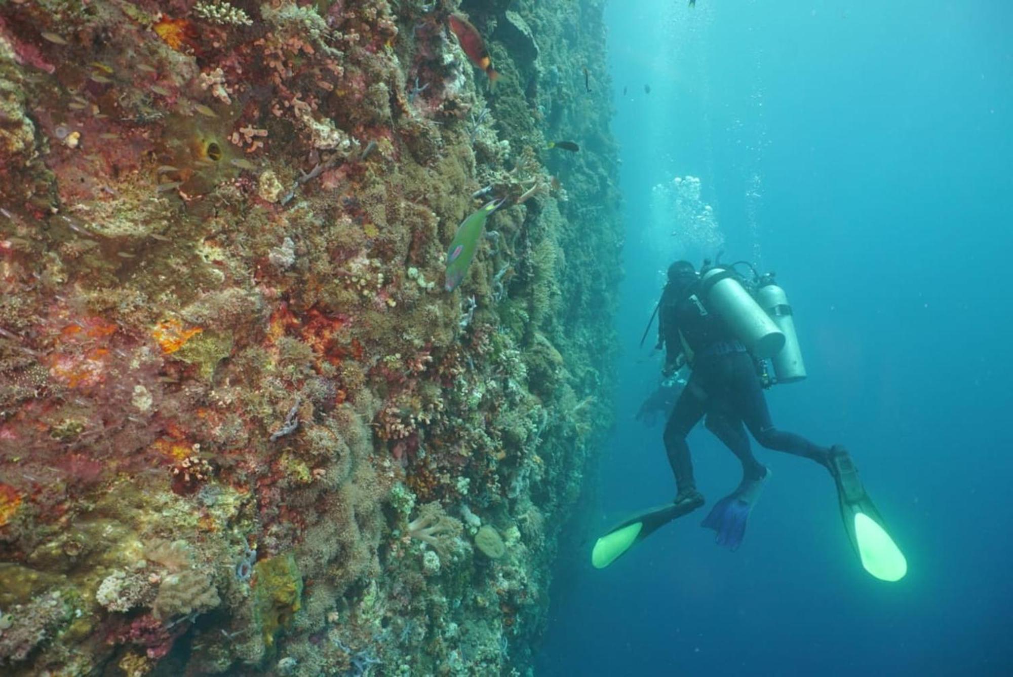 Sea World Club Beach Resort & Dive Center Maumere Esterno foto