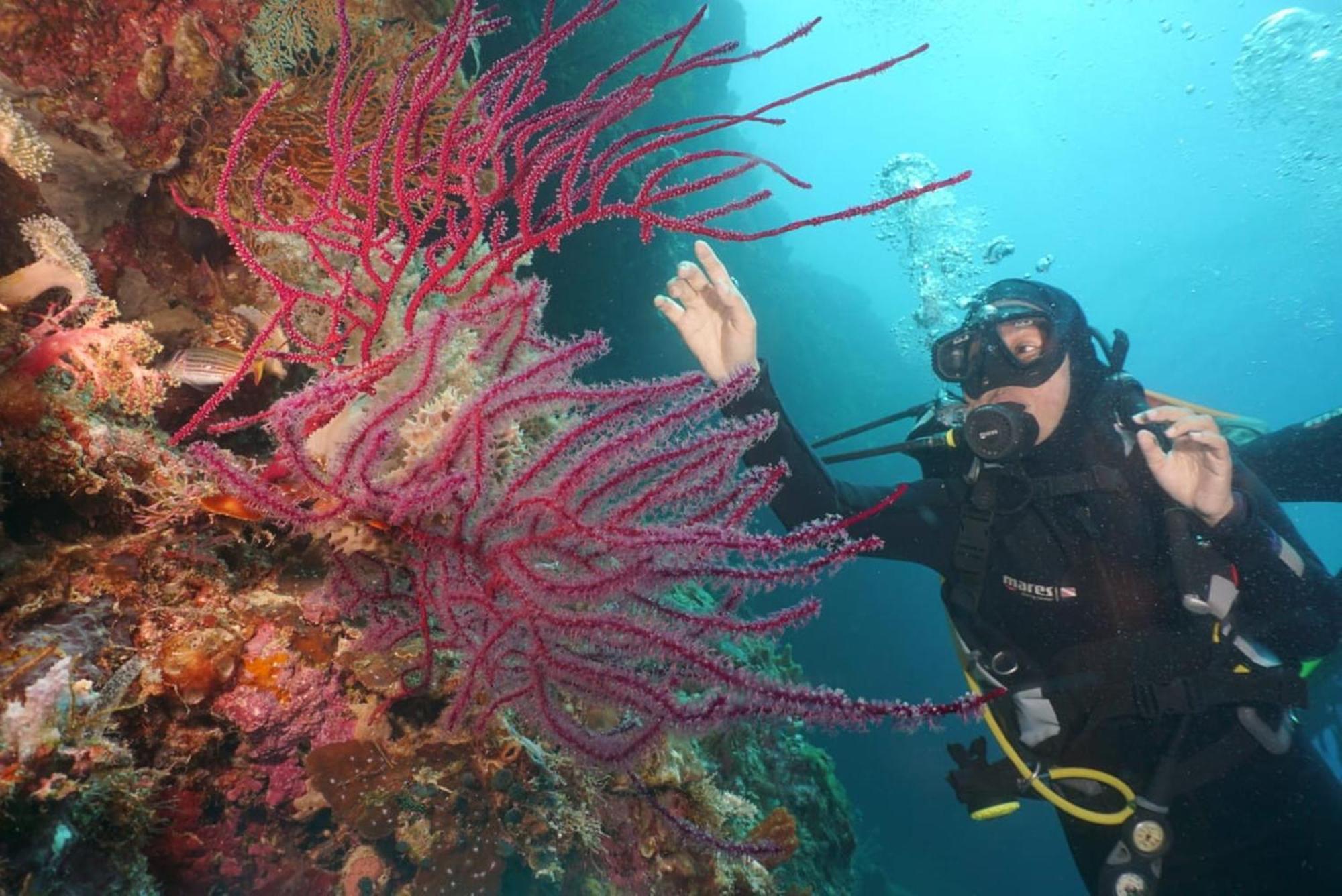 Sea World Club Beach Resort & Dive Center Maumere Esterno foto